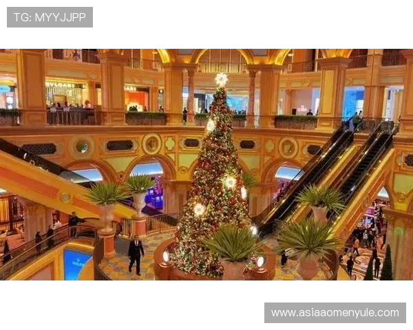 探索澳门十大娱乐场所图片，感受澳门作为国际娱乐之都的独特魅力