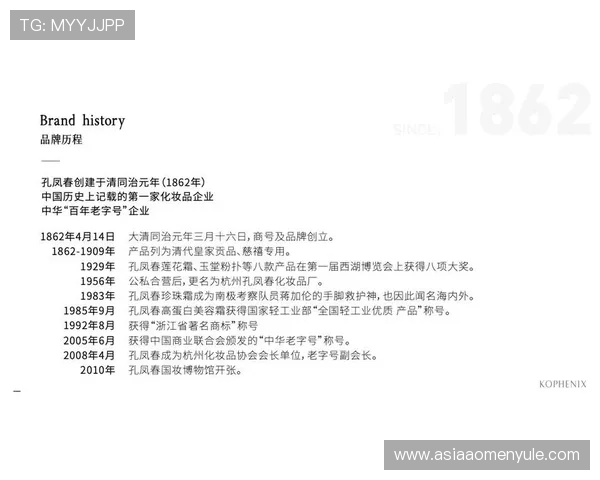 汇彩控股官网：历史沿革与品牌发展历程深度剖析